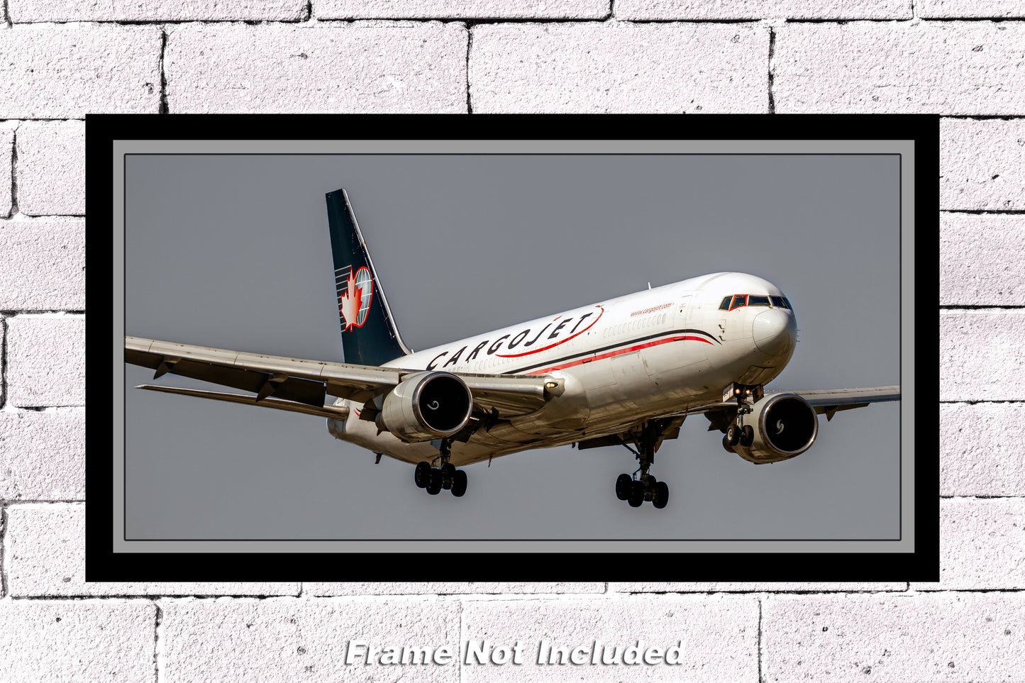 CargoJet Boeing 767-39HER(BCF)(WL) Color Photograph (APPM10127)