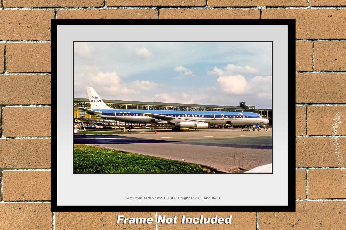 KLM Royal Dutch Airlines Douglas DC-8 Color Photograph (B006RGJC11X14)