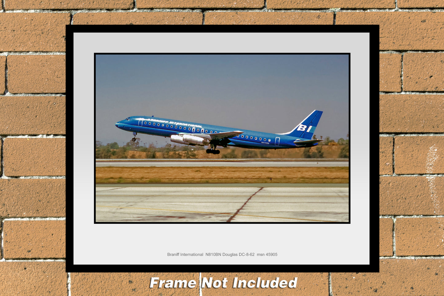 Braniff International Douglas DC-8-62 Color Photograph (B007LAWW11X14)