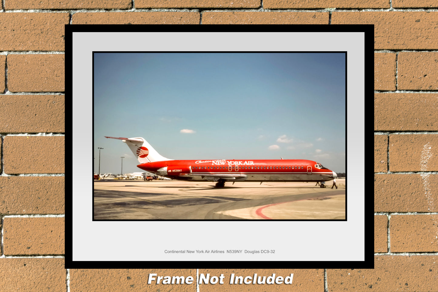 Continental Airlines Dougals DC-9-32 11" x 14"  Color Photograph (C122RGJF11X14)