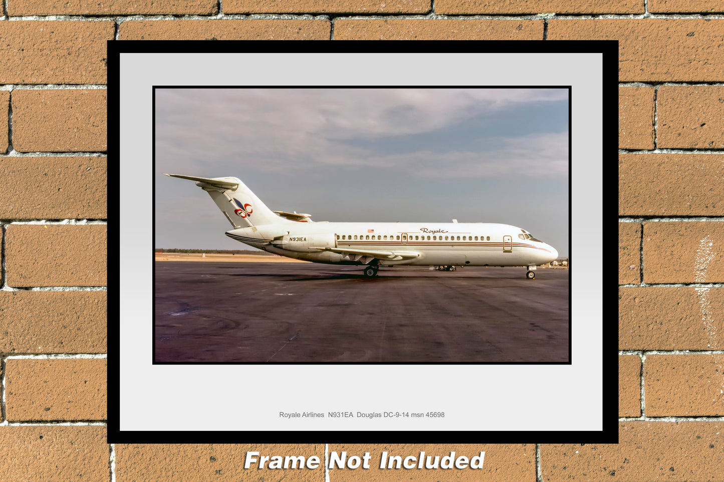 Royale Airlines Douglas DC-9-14 11" x 14" Color Photograph (C131RGJC11X14)