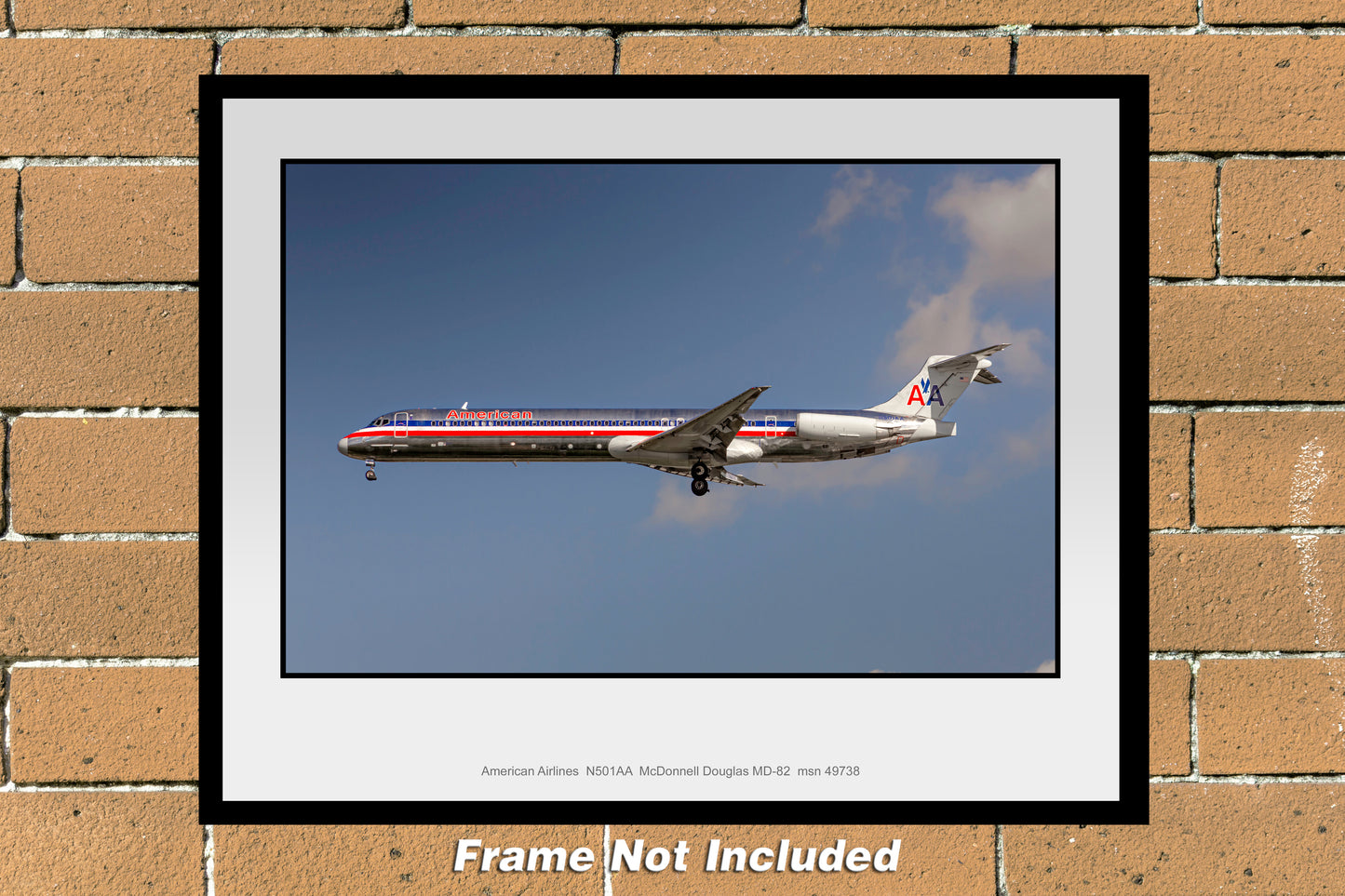 American Airlines MD-80 N501AA Photo (D069LAJM11X14)