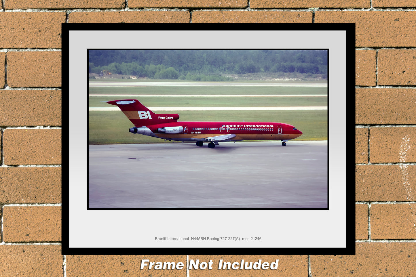 Braniff International Boeing 727-227(A) Color Photograph (I013RGAA11X14)