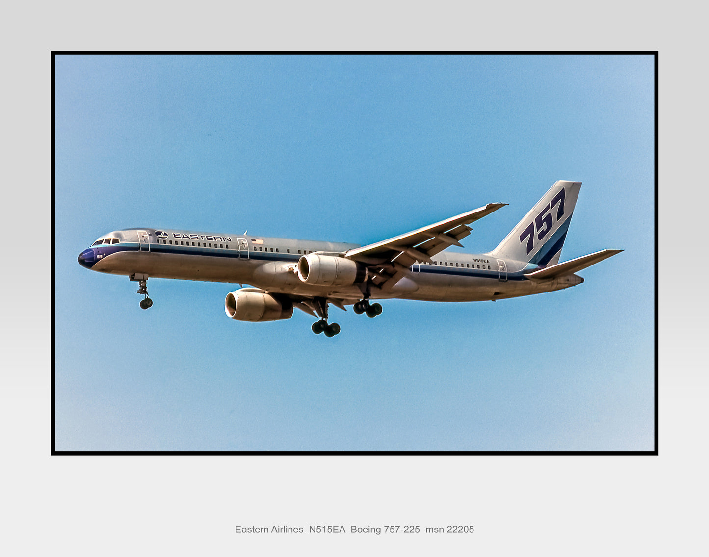 Eastern Airlines Boeing 757-225 Color Photograph (N017LADH11X14