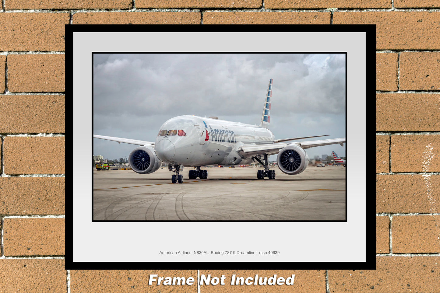American Airlines Boeing 787-9 Dreamliner Color Photograph (PA016LGJM11X14)