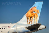 Frontier Airlines Tail Logo Fridge Magnet (PMCT4049)