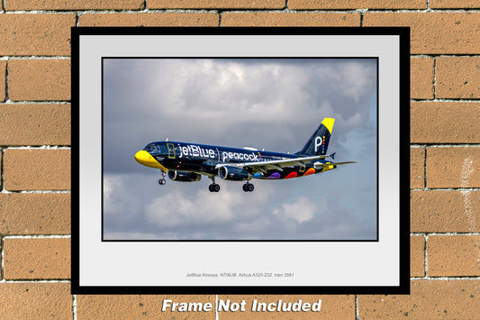 JetBlue Airways N506JB Airbus A320 11" X 14" Color Photograph (T250LAJM11X14)
