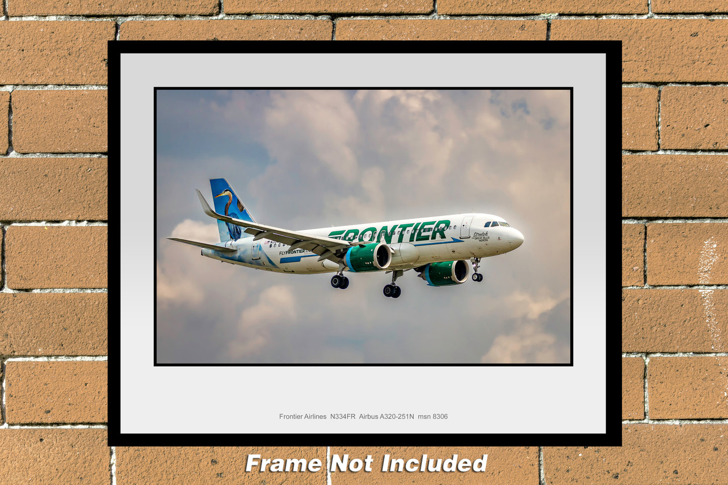 Frontier Airlines Airbus A320-251N Color Photograph (T253RAJM11X14)