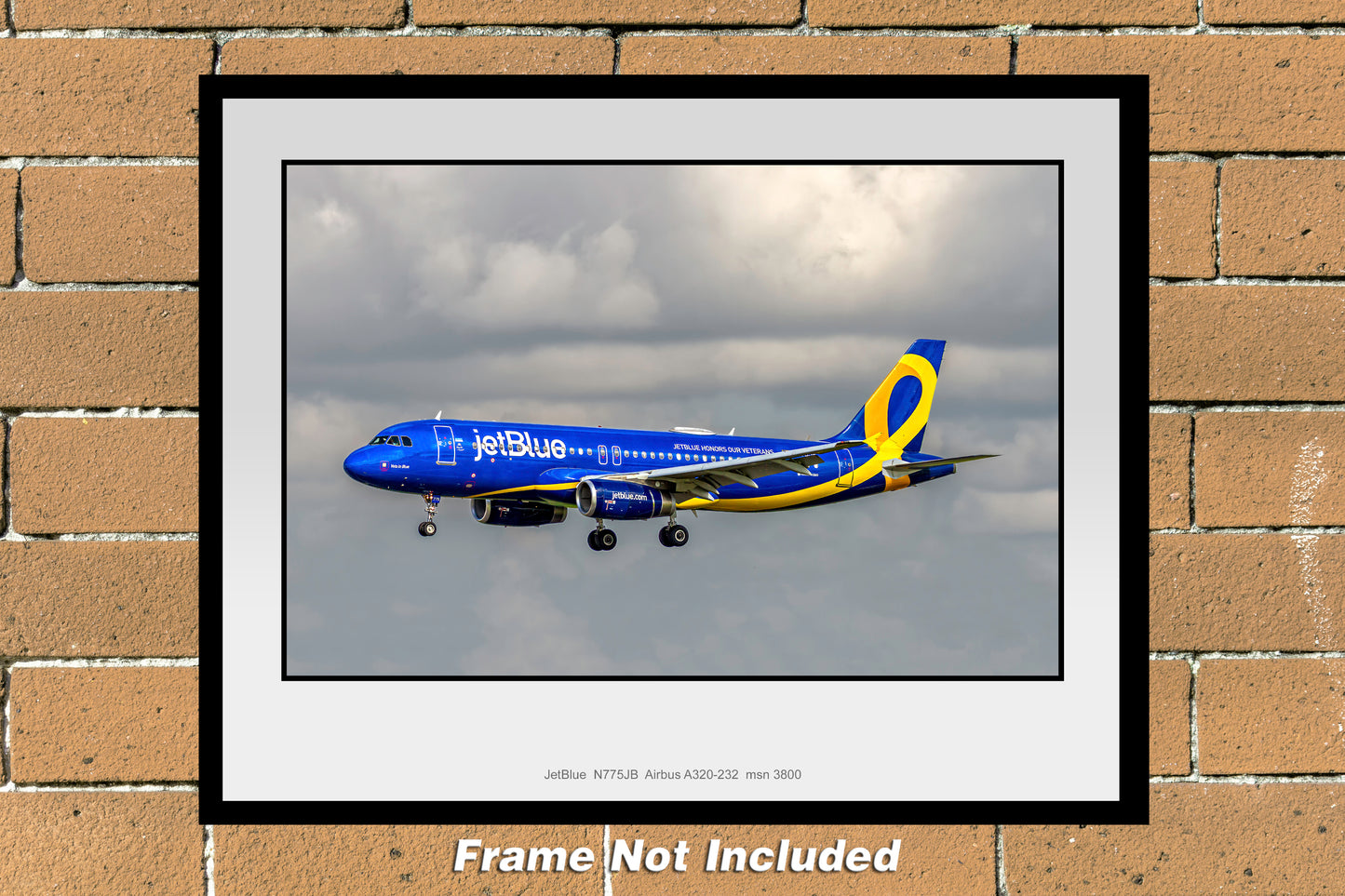 JetBlue Airways N775JB Airbus A320 11" X 14" Color Photograph (T263LAJM11X14)