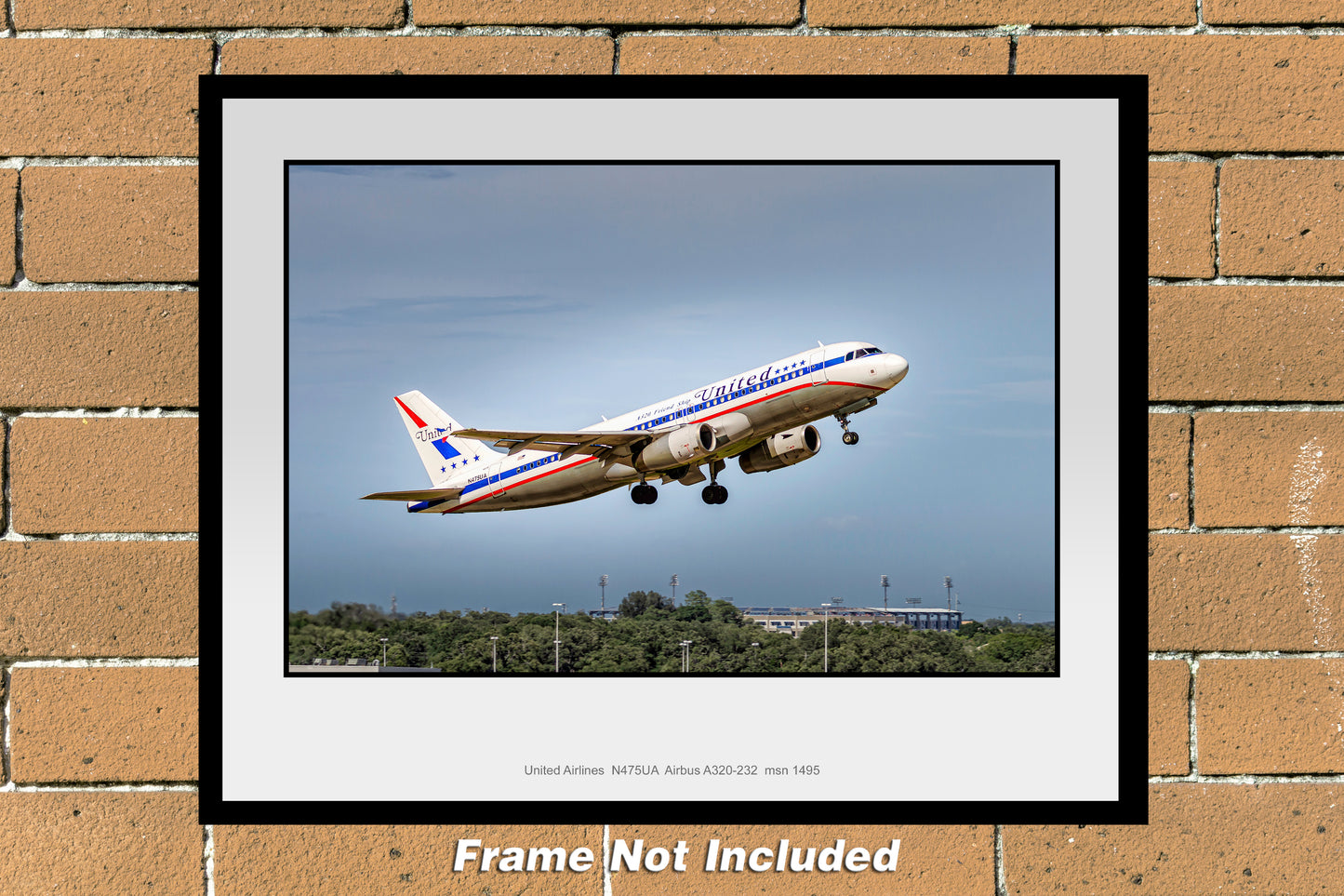 United Airlines Airbus A320-232 11" x 14" Color Photograph (T265RAJM11X14)