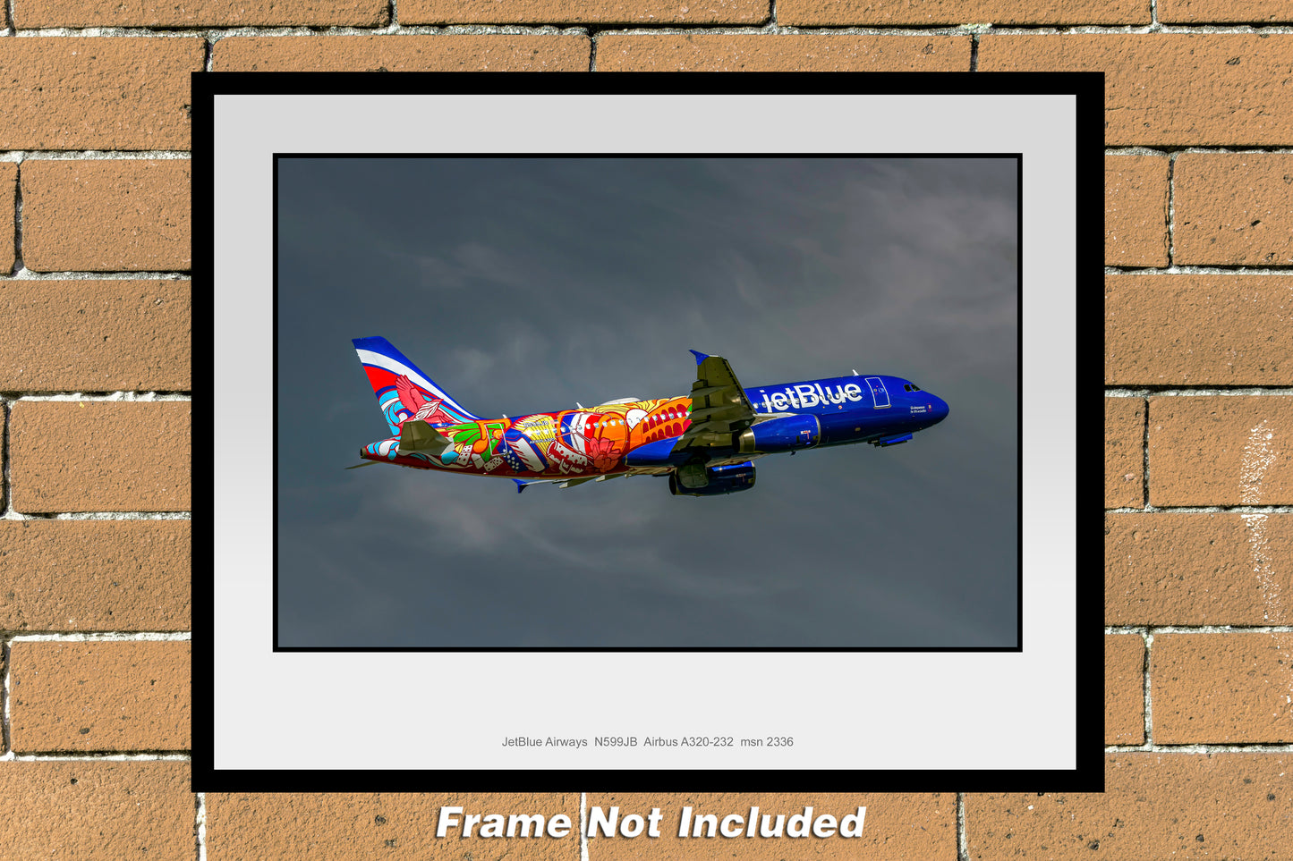 JetBlue Airways Dominican Republic Airbus A320 11" X 14" Color Photograph (T267RAJM11X14)