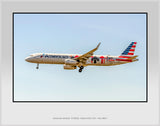 American Airlines Airbus A-321 Stand Up to Cancer Color Photograph TA043LAJM11X14