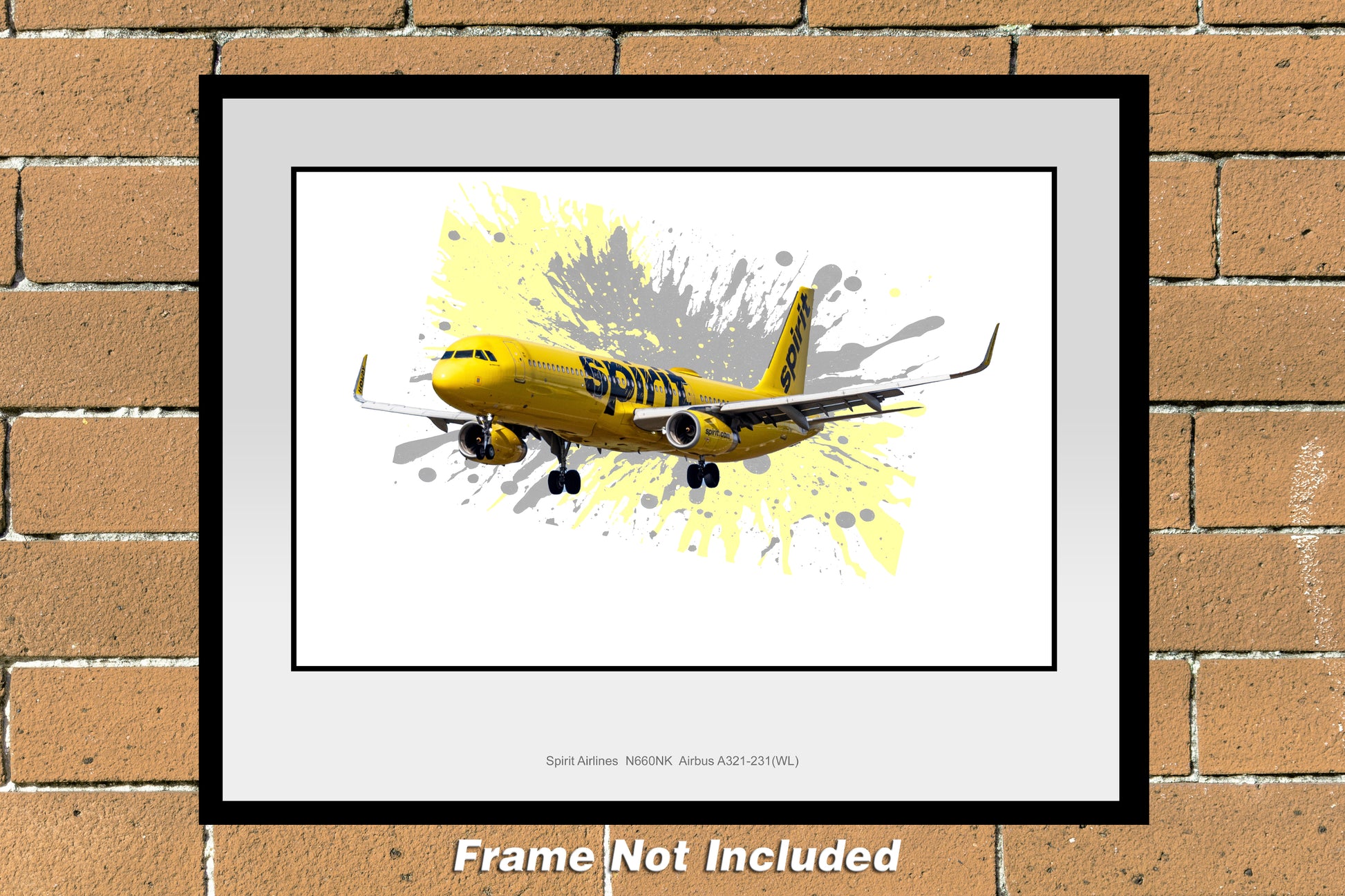11"x14" color airline photograph of Spirit Airlines