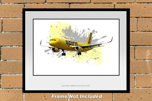 11"x14" color airline photograph of Spirit Airlines