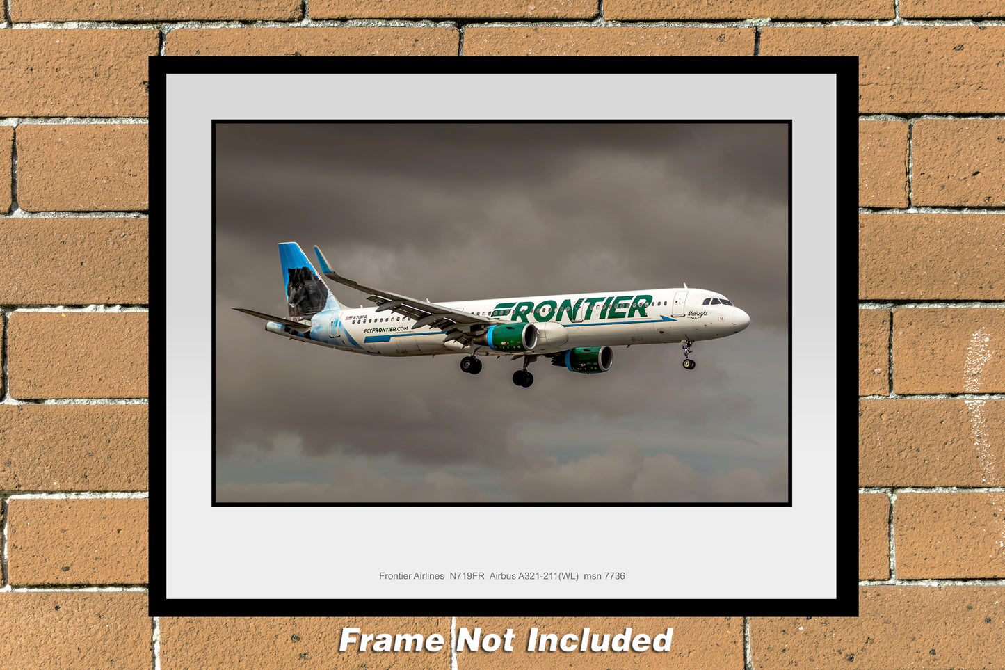 Frontier Airlines Airbus A321-211(WL) Color Photograph (TA067RAJM11X14)