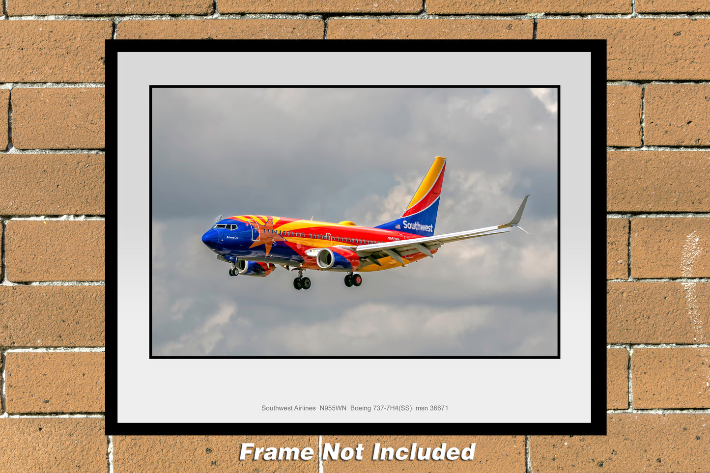 Southwest Airlines Arizona One Color Photograph (TT205LAJM11X14)