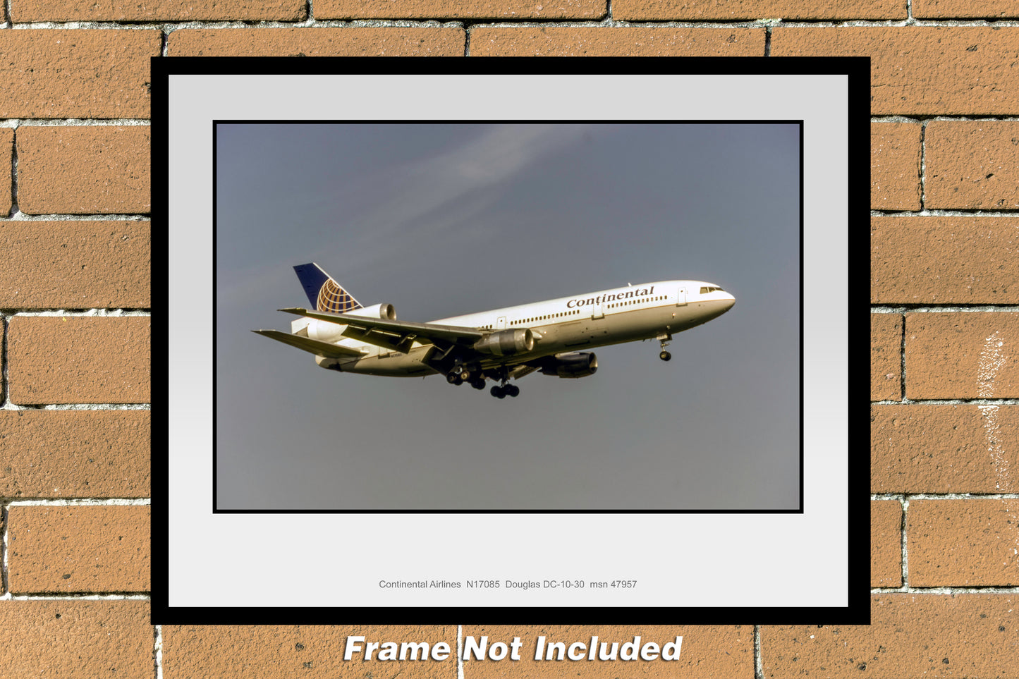 Continental Airlines DC-10-30 11" x 14" Color Photograph (U044RAJC11X14)