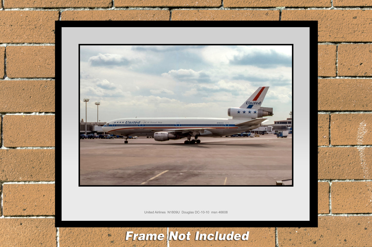 United Airlines Friendship Colors Douglas DC-10-10 Color Photograph (U064LGJF11X14)