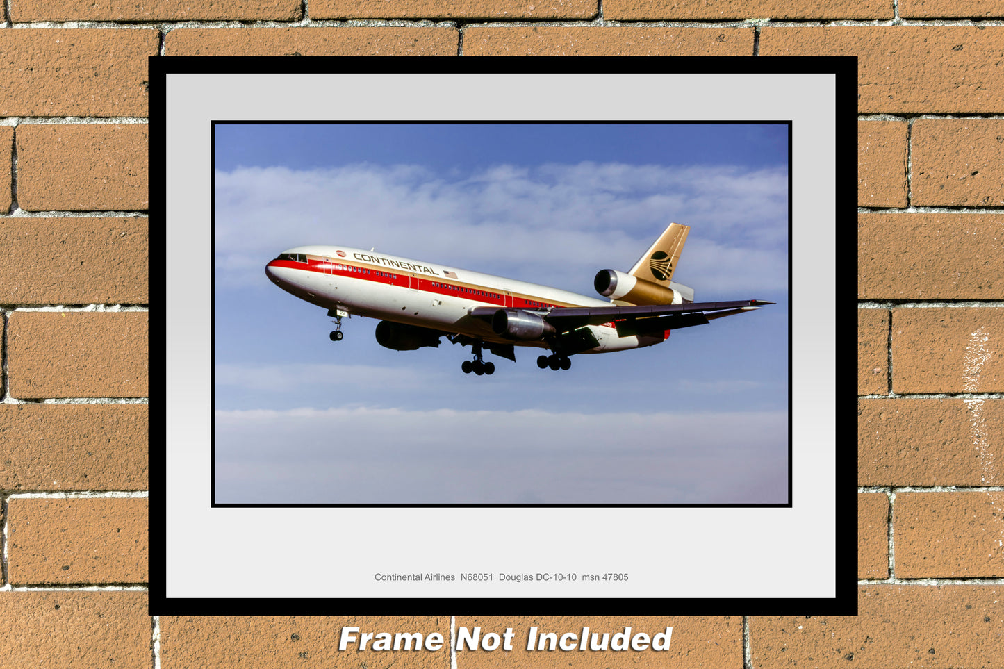 Continental Airlines DC-10-10 11" x 14" Color Photograph (U082LAJC11X14)