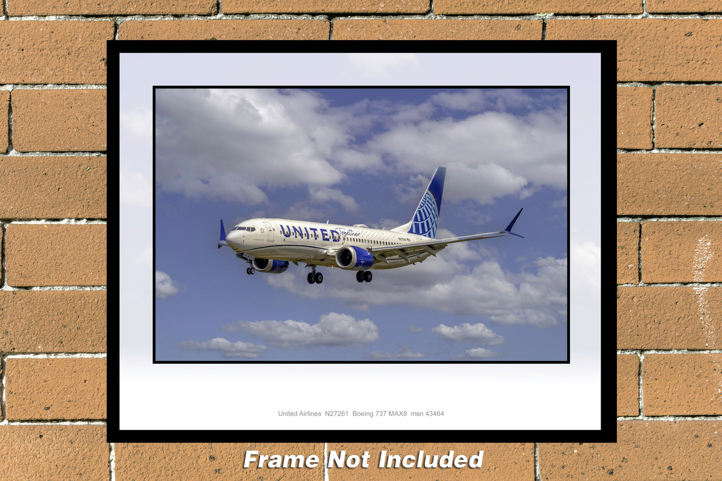 United Airlines Airbus Boeing 737-8 MAX 11" x 14" Color Photograph (UB003LAJM11X14)