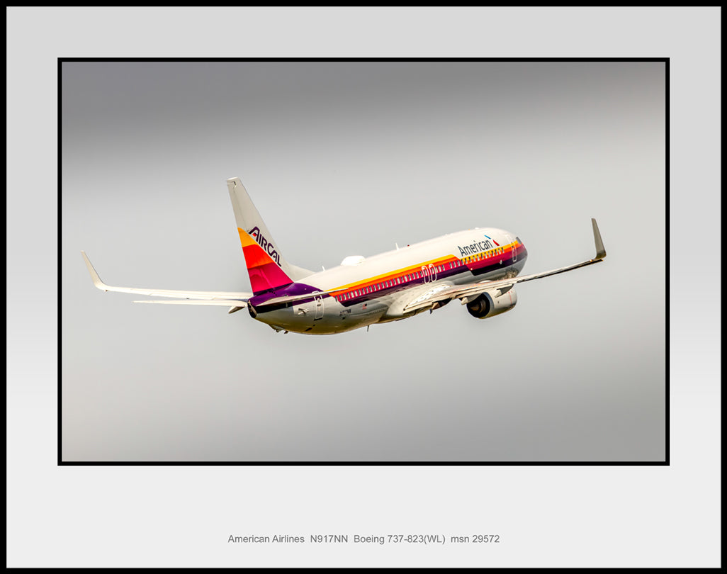 American Airlines Boeing 737-823(WL) 11" x 14" Color Photograph (UU117RAJM11X14)