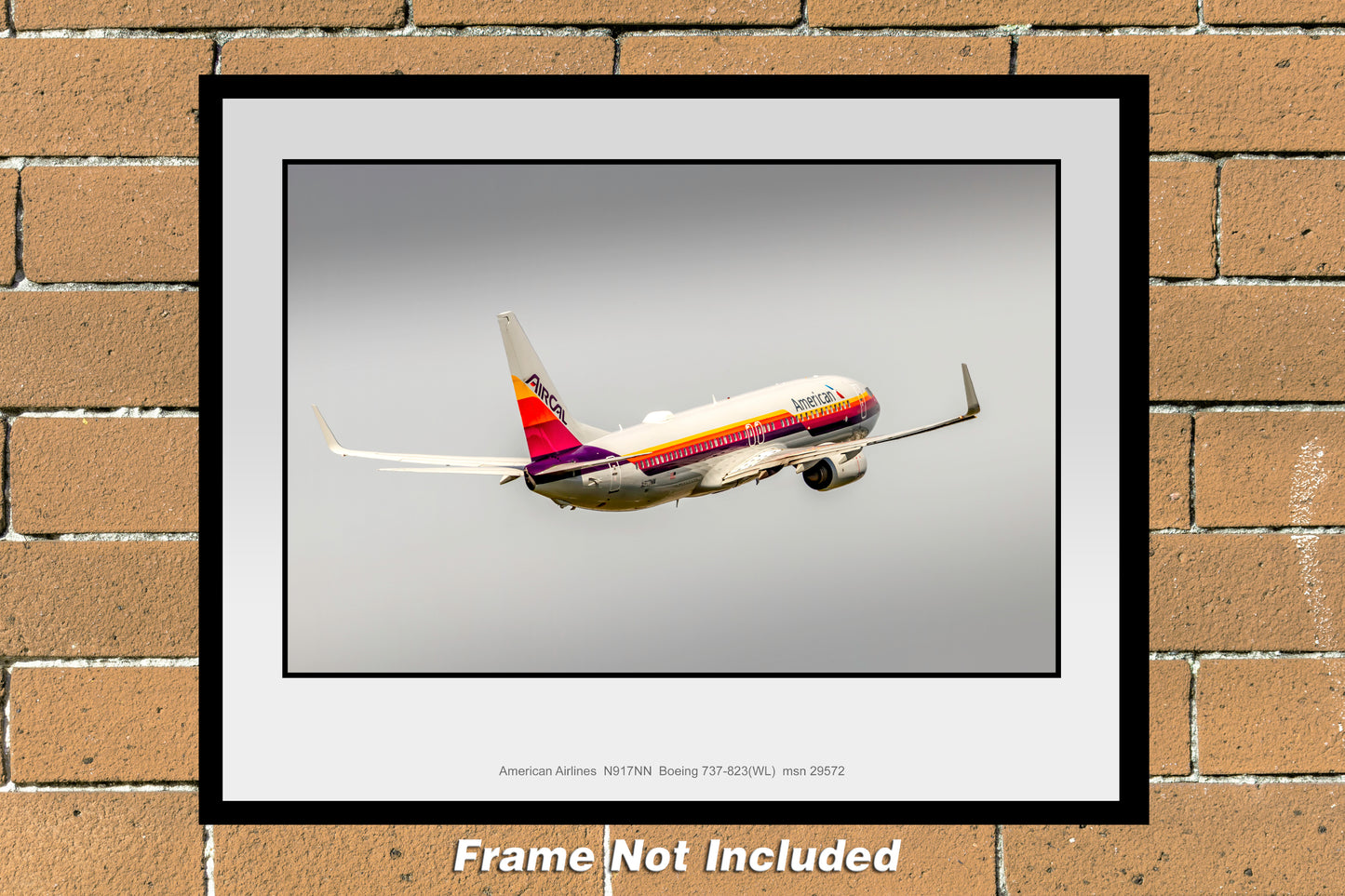 American Airlines Boeing 737-823(WL) 11" x 14" Color Photograph (UU117RAJM11X14)