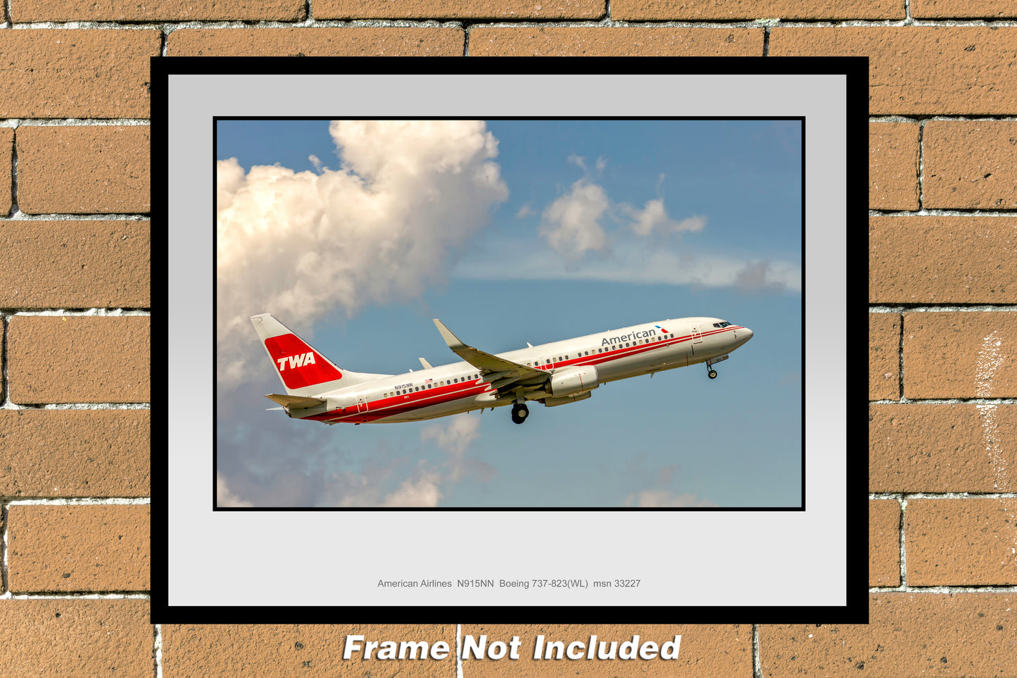 American Airlines Boeing 737-823 TWA Heritage Color Photograph (UU123RAJM11X14)