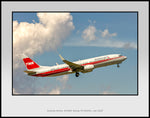 American Airlines Boeing 737-823 TWA Heritage Color Photograph (UU123RAJM11X14)