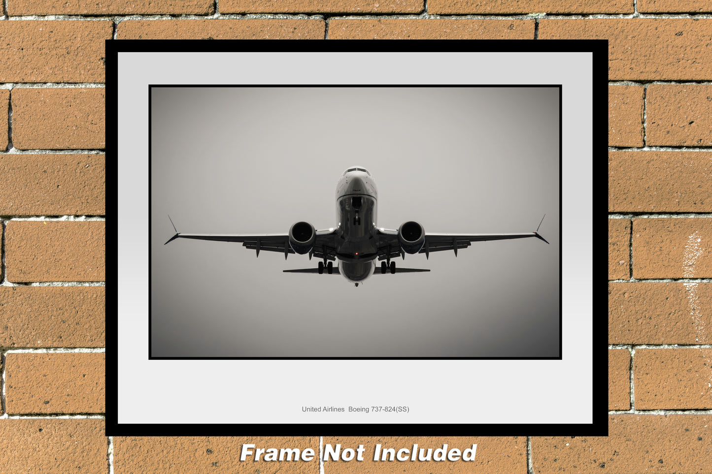 United Airlines Airbus Boeing 737-824 11" x 14" Color Photograph (UU154LAJM11X14)