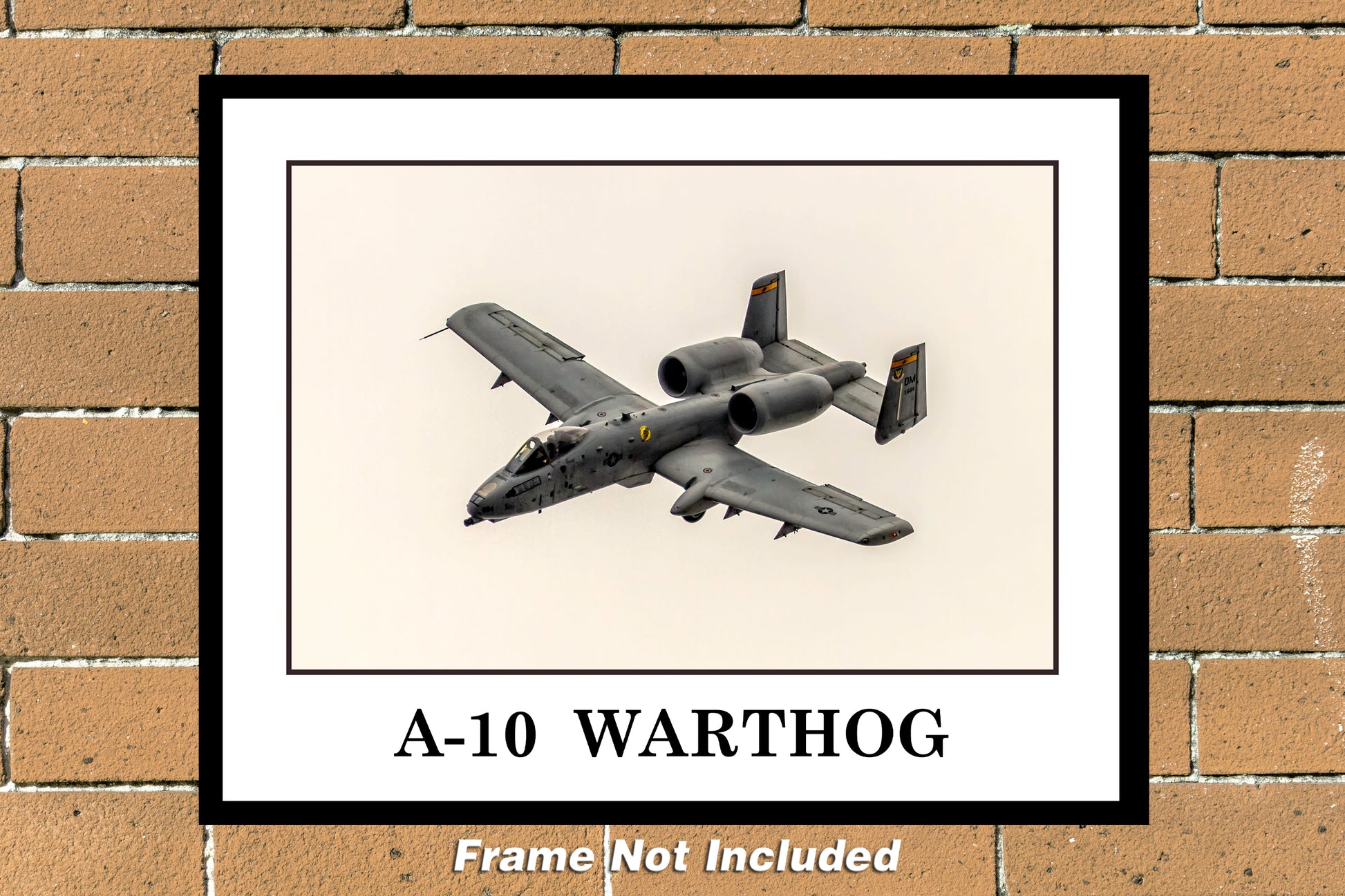 11"x14" a10 warthog unframed color military photograph