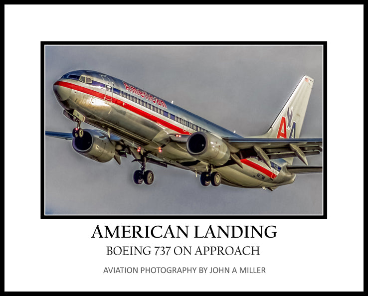 American Airlines Legacy Boeing 737-800 Landing Photograph (APPL10001)