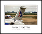American Airlines AA Mad Dog MD-80 Color Photograph (APPL10017)