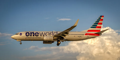 American Airlines Boeing 737 "One World" Color Photograph (APPM10004)