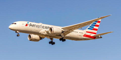 American Airlines Boeing 787 Dreamliner Color Photograph (APPM10024)