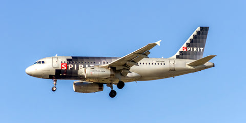 Spirit Airlines Airbus A319-132 Color Photograph (APPM10031)