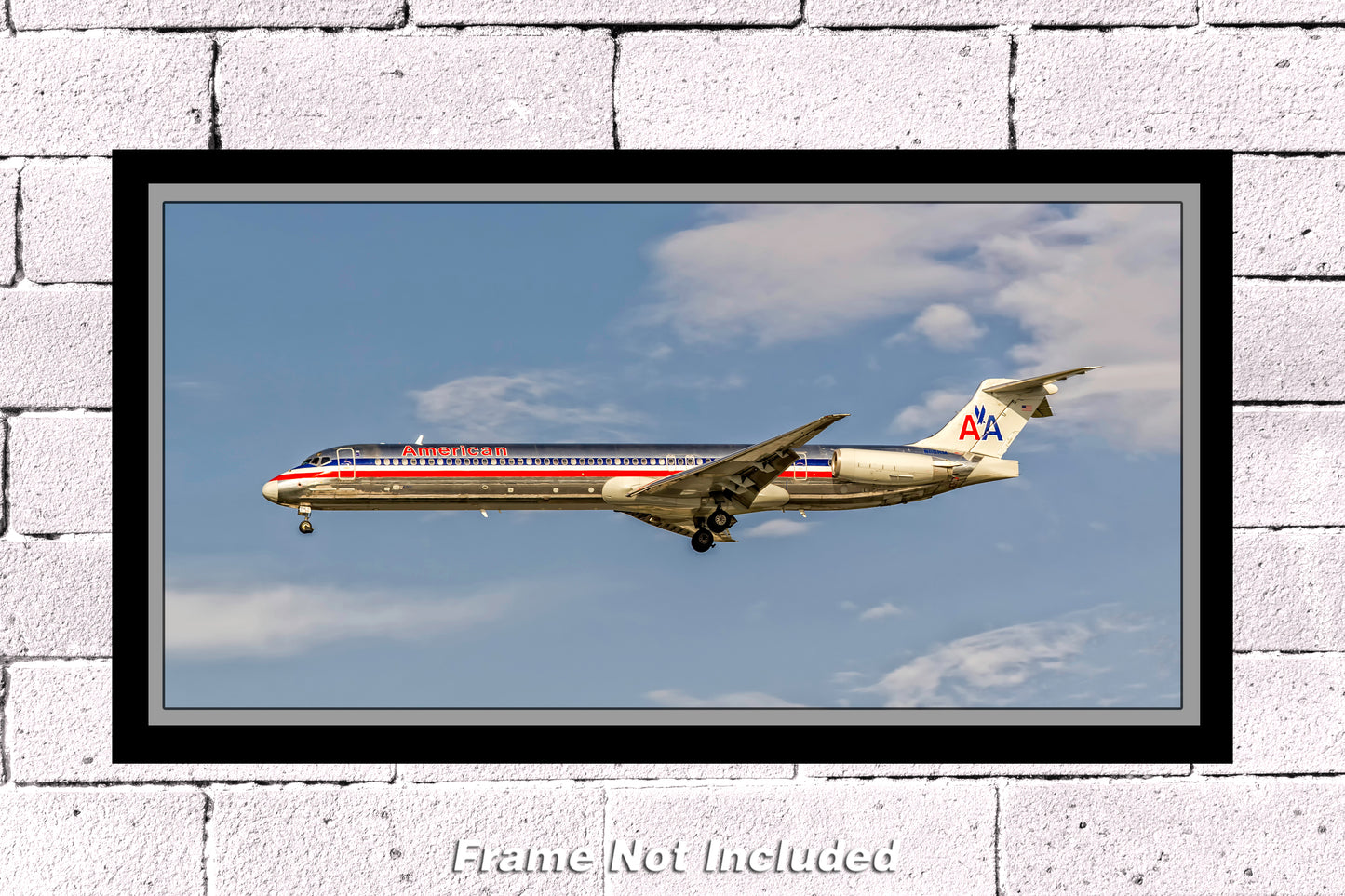 American Airlines MD-80 Color Photograph (APPM10032)