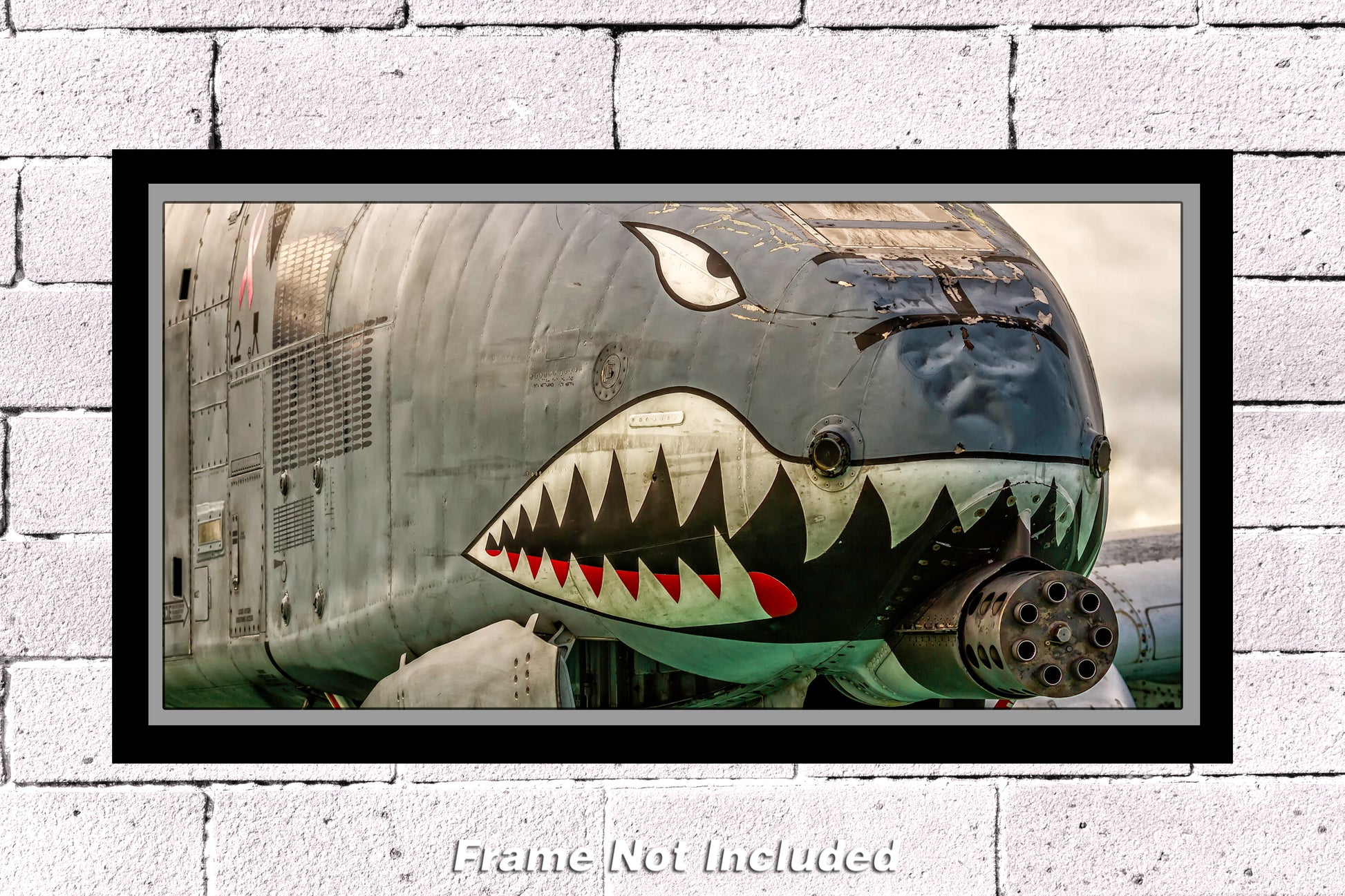 10"x20" unframed color military photograph jet