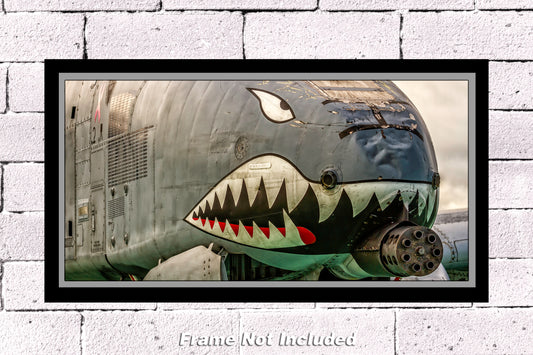 10"x20" unframed color military photograph jet