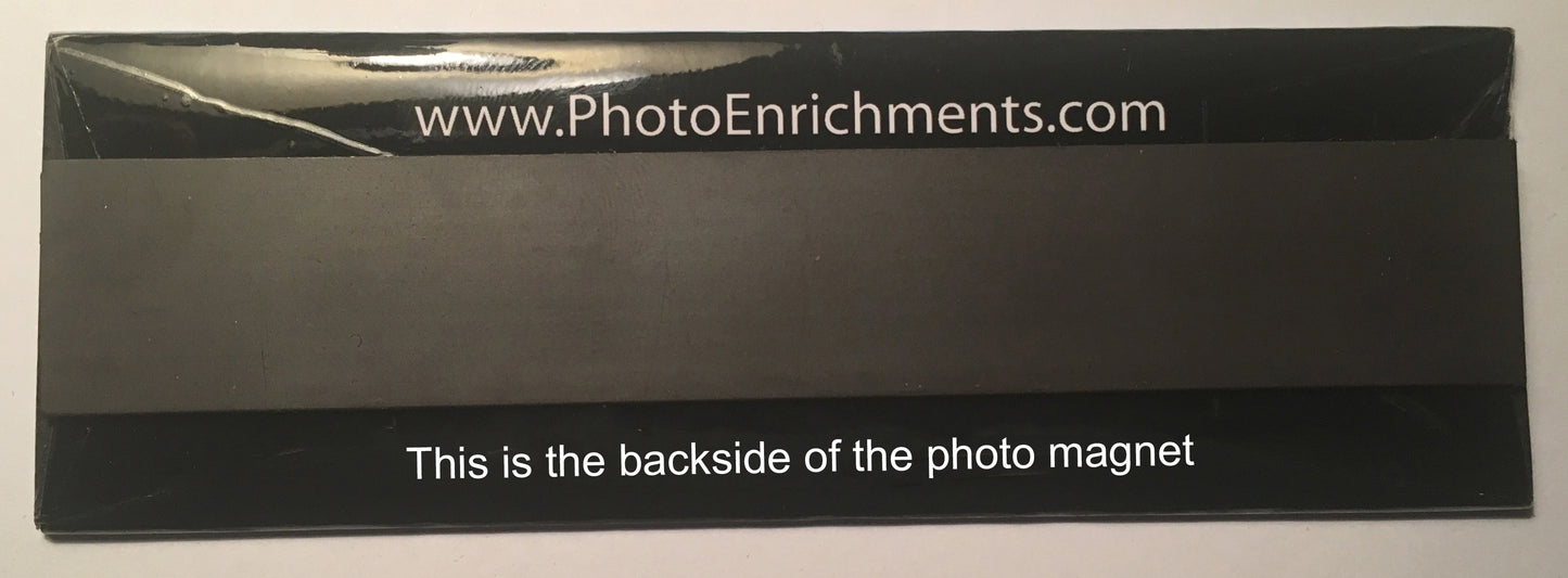 Frontier Airlines Airbus A319 Fridge Magnet (PMT1532)