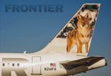 Frontier Airlines Tail Coyote Fridge Magnet (PMCT4023)