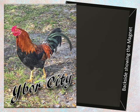 Ybor City Iconic Rooster Fridge Magnet (PMD10013)