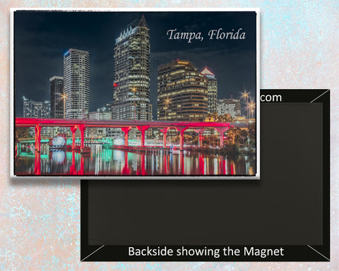 Tampa FL Red Bridge Fridge Magnet (PMD10015)