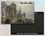 Notre Dame Paris Fridge Magnet (PMD10025)