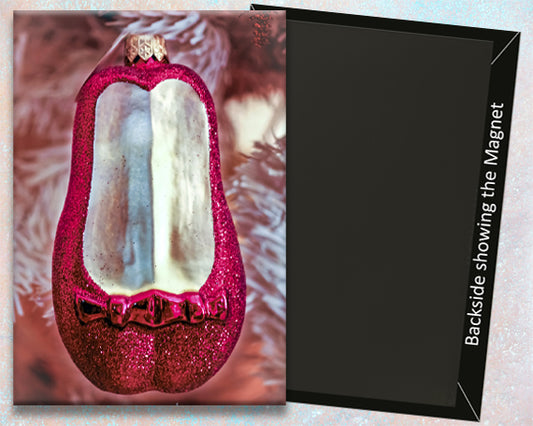 Ruby Red Slippers Fridge Magnet (PMH11019)