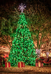 Christmas Tree Fridge Magnet (PMH11024)
