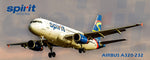 Spirit Airlines Airbus A320 Fridge Magnet (PMT1547)