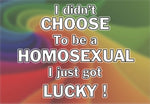 I Didn't Choose To Be a Homosexual Handmade 3.25" x 2.25" Fridge Magnet (PMT9016)