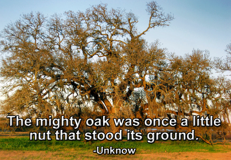 The Mighty Oak Fridge Magnet (PMT9102)