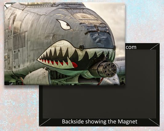 2.25"x3.25" handmade fridge magnet A-10 Warthog Military Aircraft