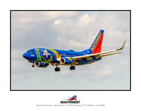 Southwest Airlines Nevada One Colors Color Photograph (TT193LAJM11X14)